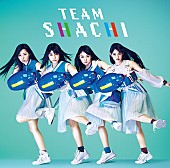 TEAM SHACHI「（C）CAPCOM CO., LTD. ALL RIGHTS RESERVED.」9枚目/10