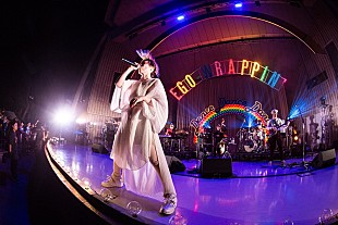 「EGO-WRAPPIN’、9/29野音ワンマンライブより「色彩のブルース」「心象風景」のライブ映像公開」