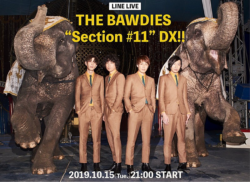 THE BAWDIES、LINE LIVE『“Section #11” DX!!』生配信決定 