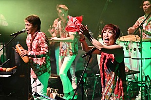 「祝35周年！　世界グレードのサルセーロ＝オルケスタ・デ・ラ・ルス　 弾ける音粒とクラーヴェに身体の芯まで痺れる、ハッピーで官能的な秋のウイークエンド・ナイト」