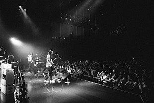 「DYGL、即完の東京公演ライブレポ「皆がやりたいこと出来て、風通しのいい社会になってほしい」」