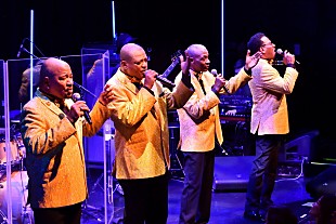 「＜コラム＞スタイリスティックス来日記念　～ファルセット・ヴォイス、その美しき系譜」