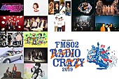 「木村カエラ/グドモ/ストレイテナーら【FM802 RADIO CRAZY】第3弾アーティスト発表」1枚目/1