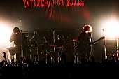 浅井健一＆ＴＨＥ　ＩＮＴＥＲＣＨＡＮＧＥ　ＫＩＬＬＳ「」2枚目/5