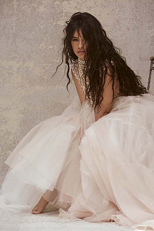 「カミラ・カベロ、AMAsで新曲初披露＆ショーン・メンデスとベストコラボ賞受賞」