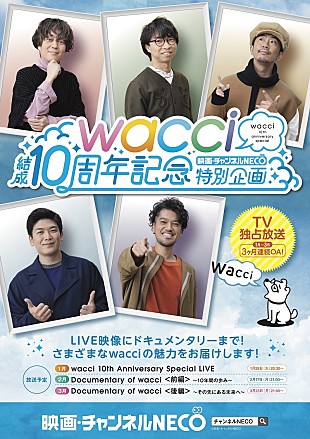 「wacci、チャンネルNECOにて『結成10周年記念特別企画』1/28放送スタート」