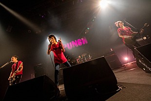 「＜ライブレポート＞ザ・クロマニヨンズ、常に最大瞬間風速な全国ツアー【PUNCH】の東京公演を開催」