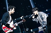 星野源「星野源、ワールドツアー横浜公演のレポート到着　マーク・ロンソンとの共演も」1枚目/6