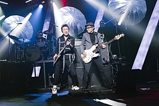 「布袋寅泰、松井常松・高橋まことと31年振り饗宴決定」