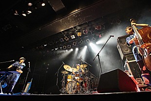 「H ZETTRIO、久々のライブハウスで2019年ラストライブ」