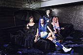 「女王蜂、新曲「BL」が向井理主演ドラマのオープニングテーマに」1枚目/1