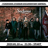 Ｓｕｃｈｍｏｓ「Suchmos、横浜スタジアム公演のドキュメンタリー＆ライブ映像を配信」1枚目/1