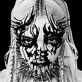 「『アイ・ディスアグリー』ポピー（Album Review）」1枚目/1