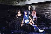 女王蜂「女王蜂、曲順違い全3形態のニュー・アルバム『BL』収録内容が明らかに」1枚目/4