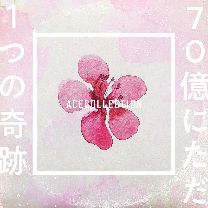 ＡＣＥ　ＣＯＬＬＥＣＴＩＯＮ「」2枚目/3