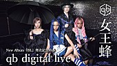 女王蜂「女王蜂、新アルバム『BL』発売記念でYouTube Live配信＆MVプレミア公開へ」1枚目/5