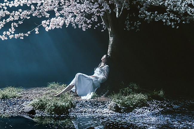 Aimer「Aimer、新たな全国ツアー【Aimer Acoustic Tour 2020】の開催を発表　新曲「marie」の先行配信もスタート」1枚目/4