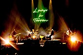 ＬＡＭＰ　ＩＮ　ＴＥＲＲＥＮ「LAMP IN TERREN、ワンマンライブ【Bloom】のライブ映像を全曲YouTubeで公開」1枚目/4