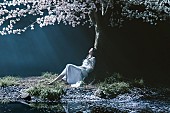 Aimer「」2枚目/5