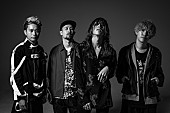 SUPER BEAVER「SUPER BEAVER、メジャー再契約発表＆新SGリリース決定」1枚目/3