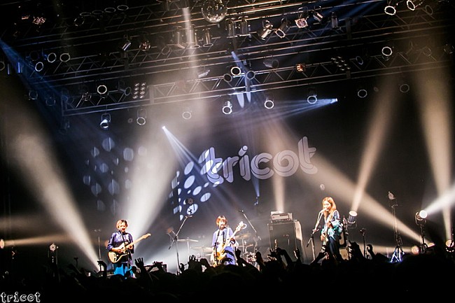 tricot「tricot、2019年ツアー映像を期間限定公開」1枚目/7