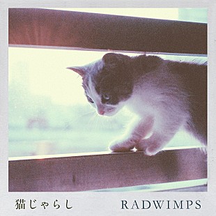 「【ビルボード】RADWIMPS「猫じゃらし」がDLソング首位獲得、Official髭男dism「パラボラ」が2位に続く」