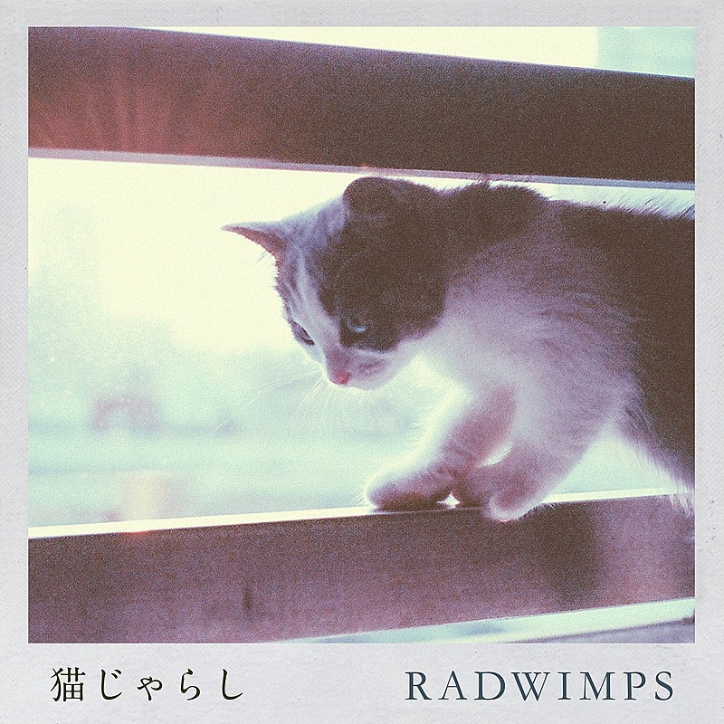 【ビルボード】RADWIMPS「猫じゃらし」がDLソング首位獲得、Official髭男dism「パラボラ」が2位に続く 