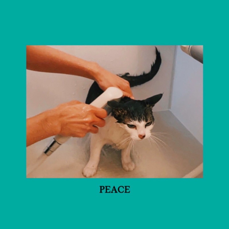 sooogood!、デジタルSG『PEACE』配信開始 