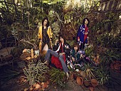 「THE YELLOW MONKEY、1998～99年時ツアーから全都道府県のライブ映像を期間限定公開」1枚目/2