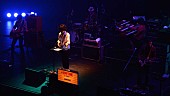 「GRAPEVINE、【IN A LIFETIME】特別編プレミア公開決定」1枚目/4