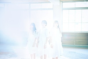 「sora tob sakanaが解散発表、ライブツアー＆ラストライブが決定」