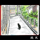 斉藤和義「斉藤和義、高田純次『じゅん散歩』の新テーマ曲「純風」を書き下ろし」1枚目/3