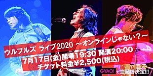 「ウルフルズ、オンラインライブ有料生配信決定」