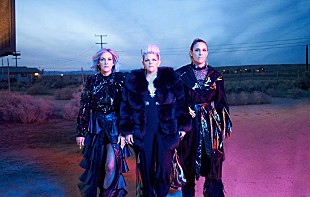 「ディクシー・チックス、ザ・チックスに改名＆14年ぶりの新作から「March March」を発表」