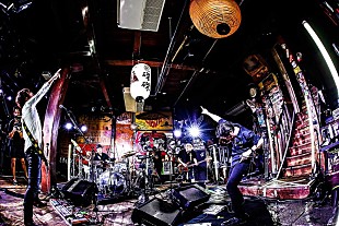 「怒髪天、半分のキャパで野音ライブ開催へ「俺たちは前進するしかない」」