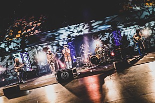 「＜ライブレポート＞Novelbright、メジャーデビューを発表　記念すべきワンマン無観客ライブを大阪城ホールから生配信」