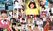 小泉今日子「」7枚目/7