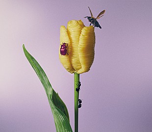 「【ビルボード】あいみょん『おいしいパスタがあると聞いて』、自身初のDLアルバム首位　『関ジャム』特集の宮本浩次がアップ」