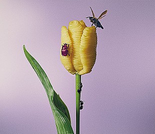 「【深ヨミ】あいみょん『おいしいパスタがあると聞いて』前作から初週売上倍増も変わらないものとは」