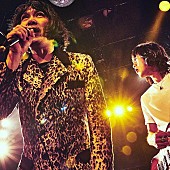 「THE COLLECTORSの新曲「お願いマーシー」配信リリース、真島昌利がギターで参加」1枚目/2