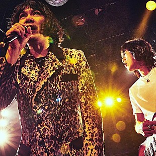 「THE COLLECTORSの新曲「お願いマーシー」配信リリース、真島昌利がギターで参加」