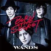 WANDS「」2枚目/3