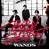 WANDS「」2枚目/3