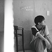 「渋谷すばる、AL『NEED』から「風のうた」MV公開」1枚目/3