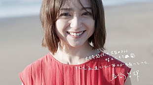 「DISH//、安達祐実の写真やホームビデオで構成「猫」スペシャルコラボムービー」