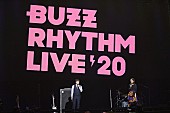 山崎まさよし「【バズリズム LIVE 2020】山崎まさよし、スキマスイッチ、Novelbright、さかいゆう、FAITHが登場」1枚目/16