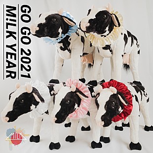 「M!LKの新SG「GO GO 2021 M!LK YEAR」配信リリース、バーチャル年越しラジオも収録」