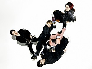 「TRICERATOPSのトリビュート盤にOKAMOTO'S、奥田民生、ベボベ、山崎まさよし」