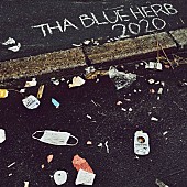 ＴＨＡ　ＢＬＵＥ　ＨＥＲＢ「」3枚目/8