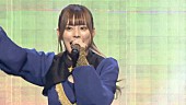 豆柴の大群「」3枚目/6